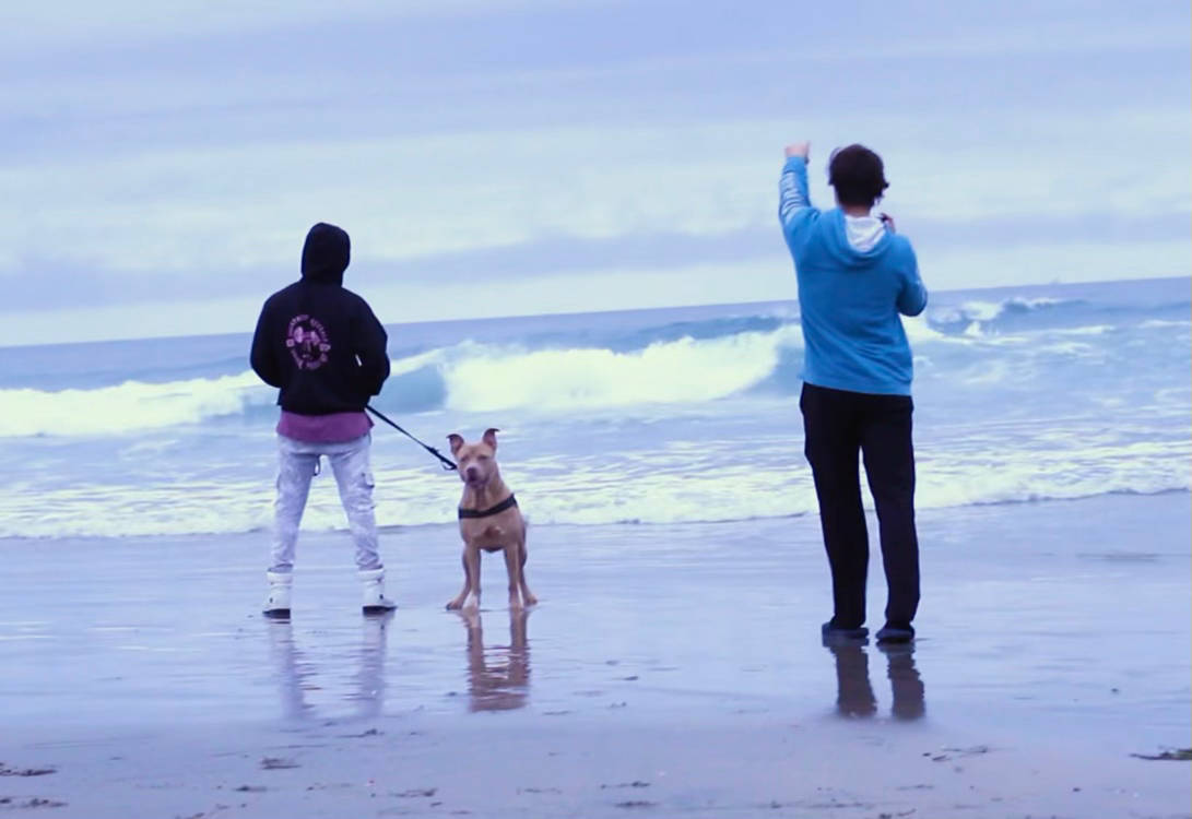 THA Collective - License To Kill (Official Music Video)